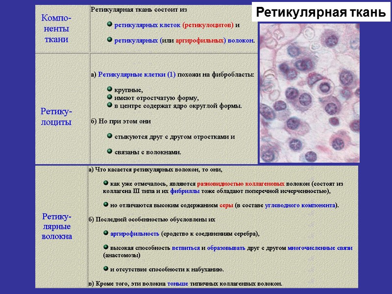 Ретикулярная ткань